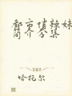 都市俏辣妹剧情简介分集封面