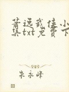 萧逸武侠小说全集txt免费下载