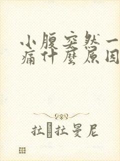 小腹突然一阵刺痛什么原因