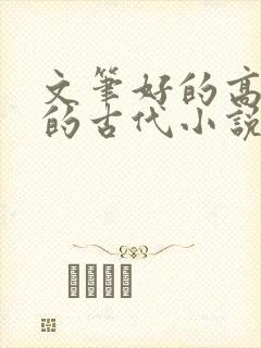 文笔好的高质量的古代小说言情