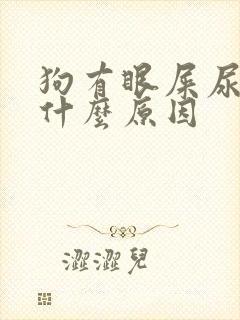 狗有眼屎尿黄是什么原因