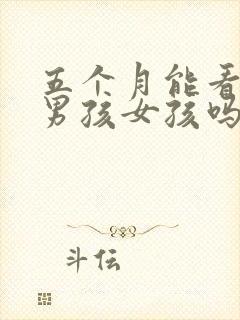 五个月能看出来男孩女孩吗