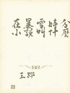 在暴雪时分原著小说叫什么