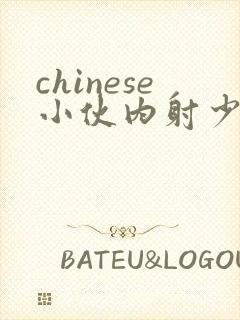 chinese小伙内射少妇封面