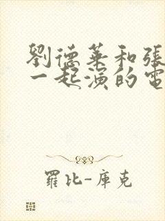 刘德华和张国荣一起演的电影