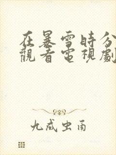 在暴雪时分免费观看电视剧