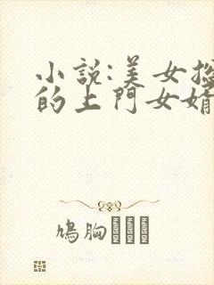 小说:美女总裁的上门女婿