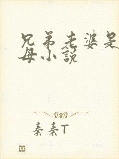 兄弟老婆是我岳母小说