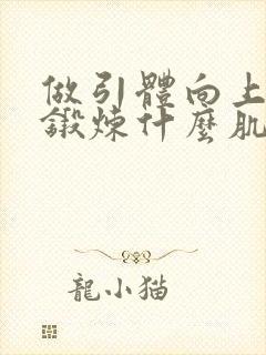 做引体向上需要锻炼什么肌肉封面