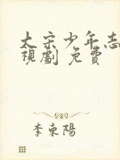 大宋少年志 电视剧 免费