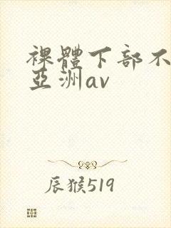 裸体下部不遮挡亚洲av