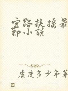 官路扶摇最新章节小说封面