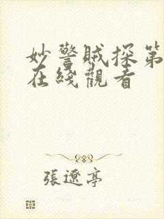 妙警贼探第二季在线观看