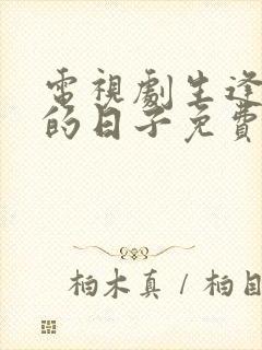 电视剧生逢灿烂的日子免费观看