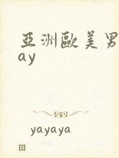 亚洲欧美男同gay封面