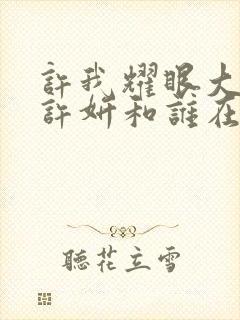 许我耀眼大结局许妍和谁在一起