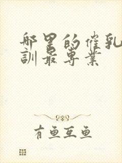 哪里的催乳师培训最专业