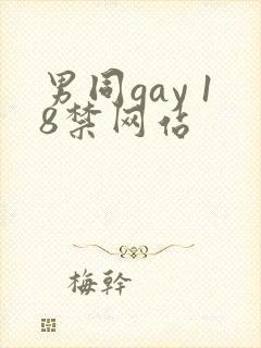 男同gay 18禁网站封面