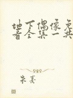 地下偶像免费观看全集一共多少集