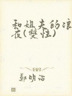 和姐夫的浪荡之夜(双性)