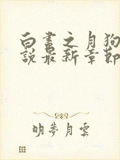 白昼之月狗子小说最新章节免费阅读