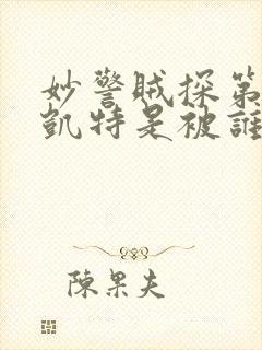 妙警贼探第一季凯特是被谁抓走的