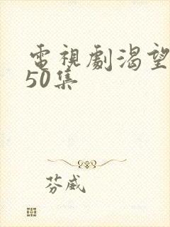 电视剧渴望1—50集封面