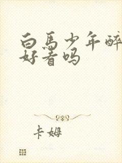 白马少年醉春风好看吗封面