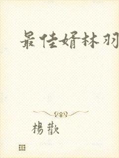 最佳婿林羽江颜