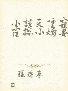 小说天价宠妻:霍总小娇妻