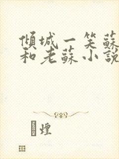 倾城一笑苏小纯和老苏小说全文免费阅读封面