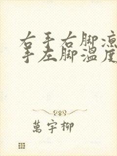 右手右脚凉 左手左脚温度正常