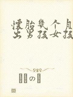 怀胎几个月能看出男孩女孩