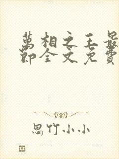 万相之王最新章节全文免费阅读txt封面