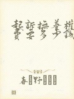 起诉抚养权律师费要多少钱