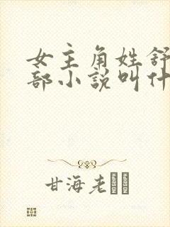 女主角姓舒的全部小说叫什么