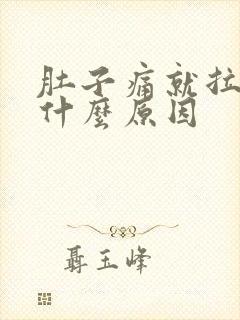 肚子痛就拉大便什么原因