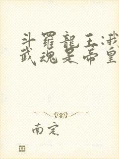 斗罗龙王:我的武魂是帝皇铠甲笔趣阁