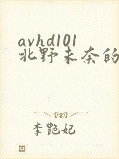 avhd101北野未奈的番号
