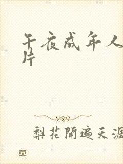 午夜成年人黄色片