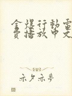 金爆行动电影免费播放中文封面