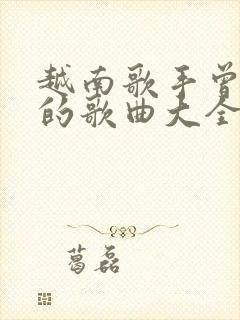 越南歌手曾新维的歌曲大全封面