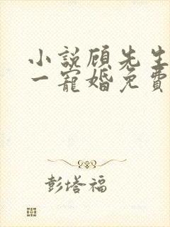 小说顾先生的第一宠婚免费