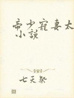 帝少宠妻太凶猛 小说