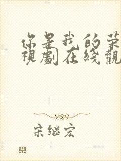 你是我的荣耀电视剧在线观看免费