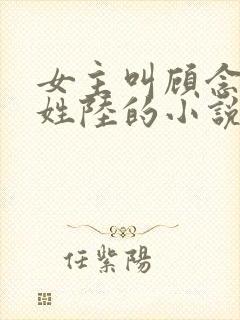 女主叫顾念男主姓陆的小说