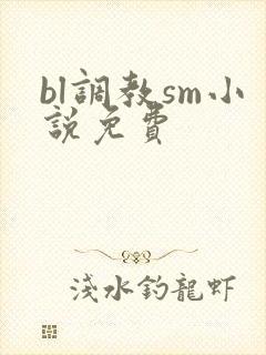 bl调教sm小说免费