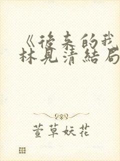 《后来的我们》林见清结局