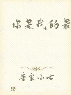 你是我的最爱封面