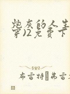 炮灰的人生(快穿)2免费下载